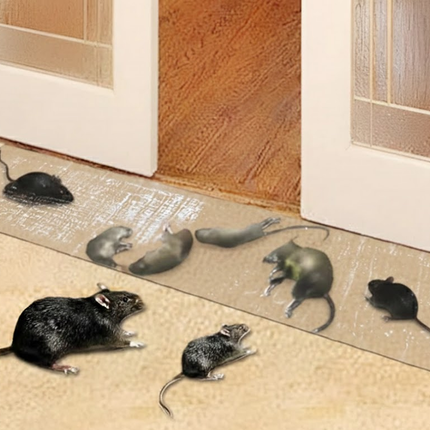 Home Pest Control | Effective Sticky Boards with High-Viscosity Glue | Versatile Traps for Rodents and Insects 6