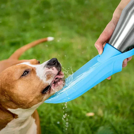 Hydration Solution | Insulated Dog Water Bottle with Leak-Proof Design | Travel-Friendly for Outdoor Adventures 3
