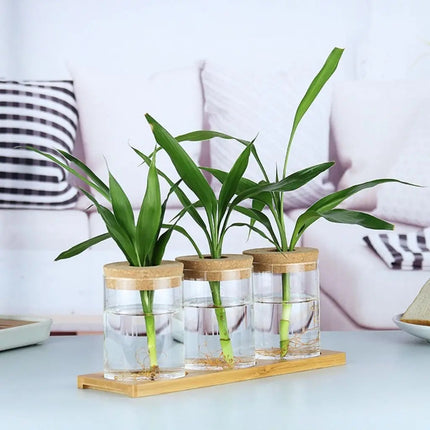 Clear Glass Vase, Plant Lover Gift for Home Office Decor