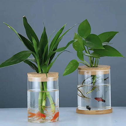Clear Glass Vase, Small Vase for Hydroponic Plants and Propagation