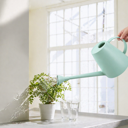 Indoor Watering Can | Long Spout Design with Adjustable Flow for Easy Plant Care 6