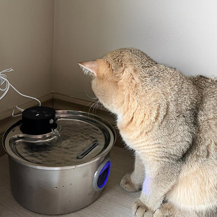 Innovative Cat Water Fountain | Cordless Design with Long Battery Life | Flexible Hydration Solution for Cats 2