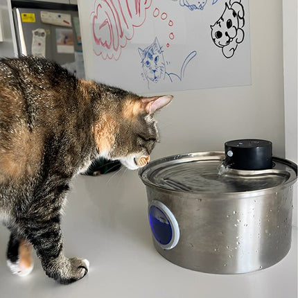 Innovative Cat Water Fountain | Cordless Design with Long Battery Life | Flexible Hydration Solution for Cats 3