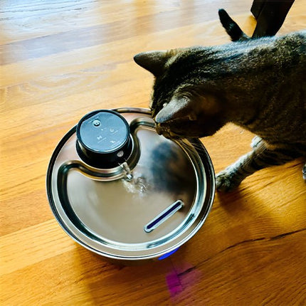 Innovative Cat Water Fountain | Cordless Design with Long Battery Life | Flexible Hydration Solution for Cats 6