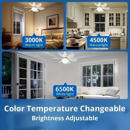 Innovative | Modern Ceiling Fan Light with Remote Control & Bright LED | Dual Functionality for Enhanced Comfort 4