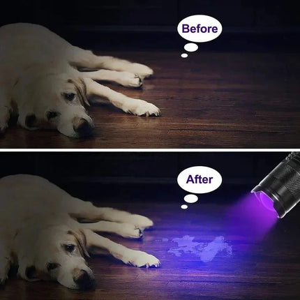 Inspection Pro | LED UV Flashlight for Stain Detection with Compact Design | Ideal for Home and Pet Care 4