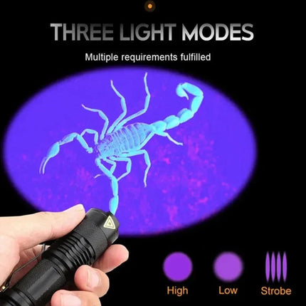 Inspection Pro | LED UV Flashlight for Stain Detection with Compact Design | Ideal for Home and Pet Care 6