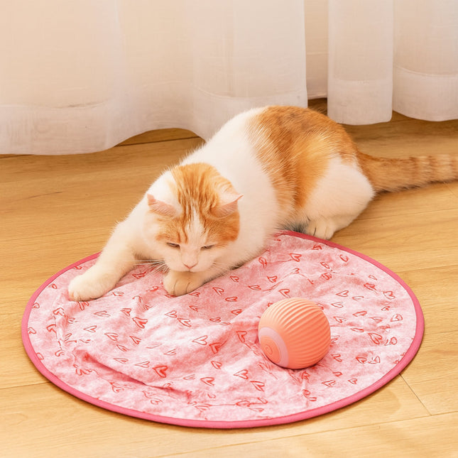 Interactive Cat Toy Play Mat with Chase Ball for Engaging Fun 0