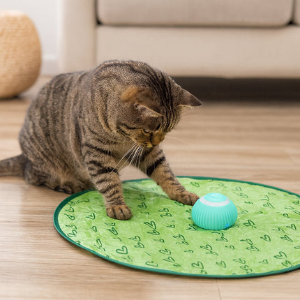Interactive Cat Toy Play Mat with Chase Ball for Engaging Fun 2