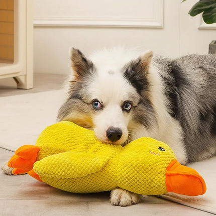 Interactive Dog Toy | Calming Duck with Quacking Sound | Engaging Chew Toy for Stress Relief 3