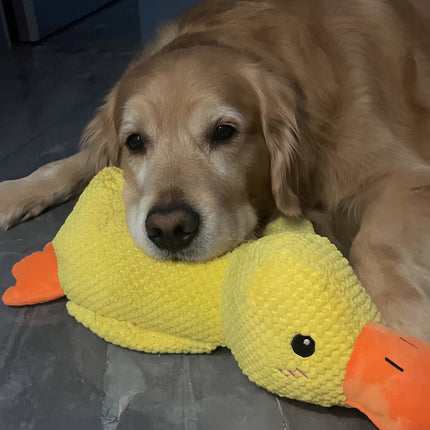 Interactive Dog Toy | Calming Duck with Quacking Sound | Engaging Chew Toy for Stress Relief 4