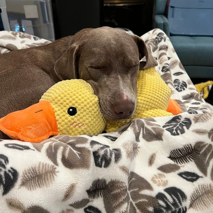 Interactive Dog Toy | Calming Duck with Quacking Sound | Engaging Chew Toy for Stress Relief 5