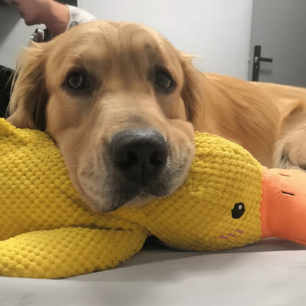 Interactive Dog Toy | Calming Duck with Quacking Sound | Engaging Chew Toy for Stress Relief 6