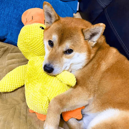 Interactive Dog Toy | Calming Duck with Quacking Sound | Engaging Chew Toy for Stress Relief 7