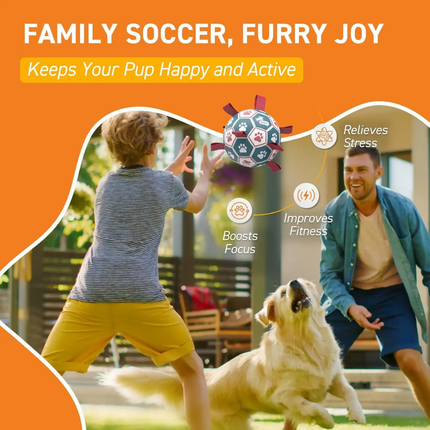 Interactive Dog Toy | Durable Soccer Ball with Mesh Rope Grip | Fun for Outdoor Play 2