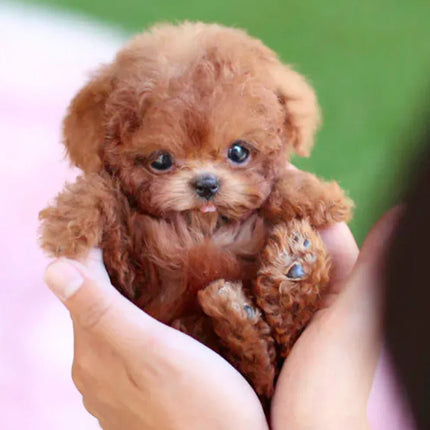 Interactive Plush Puppy Toy with Lifelike Motion & Touch Response | Comforting Companion for All Ages 0