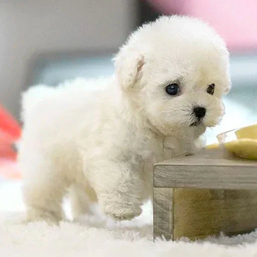 Interactive Plush Puppy Toy with Lifelike Motion & Touch Response | Comforting Companion for All Ages 1