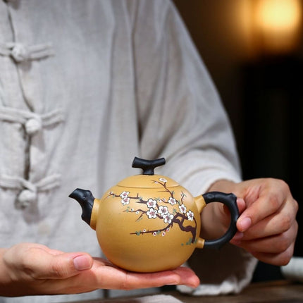 Yixing Clay Teapot, Chinese Tea Pot for Gongfu Tea