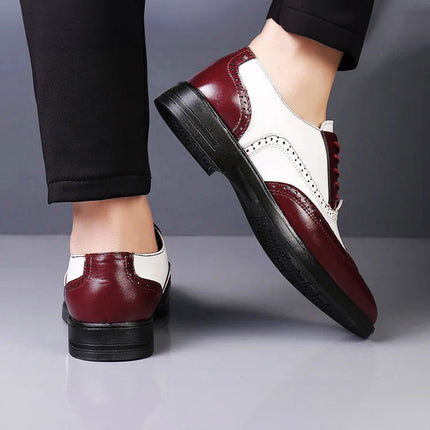 Kalsten | Brogue Lace-Up Shoes with Two-Tone Leather Design | Stylish Footwear for Every Occasion 4