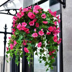 Rosa (2 pieces)