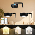 LED Picture Light | Battery Powered with Remote Control & Dimmable Options for Stunning Art Display 0