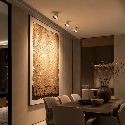 LED Downlight Adjustable, Modern LED Ceiling Light for Hallway and Living Room