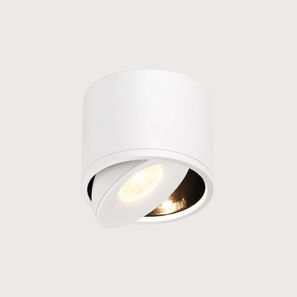 LED Downlight Adjustable, Ceiling Spotlight with Tilting Head, Modern LED Ceiling Light for Hallway and Living Room