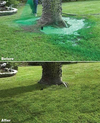 Lawn Care Solution | Liquid Grass Seed Spray with Nutrient-Rich Formula | Effortless Application for Vibrant Green Lawns 3
