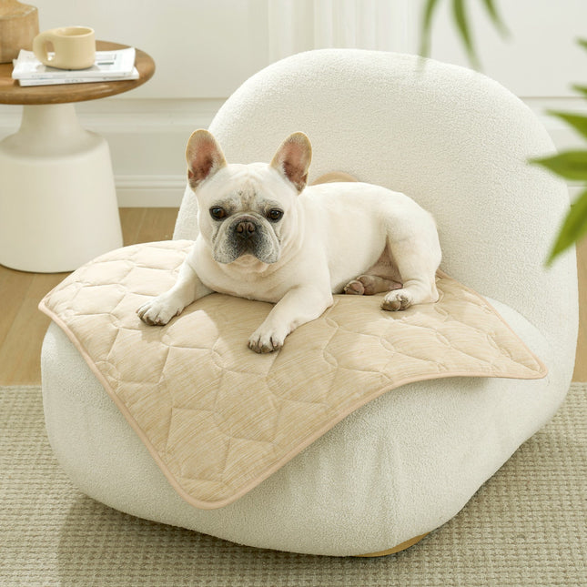 Leakproof Pet Couch Cover with Qmax Cooling Technology | Durable & Waterproof Sofa Protector for Stress-Free Relaxation 1