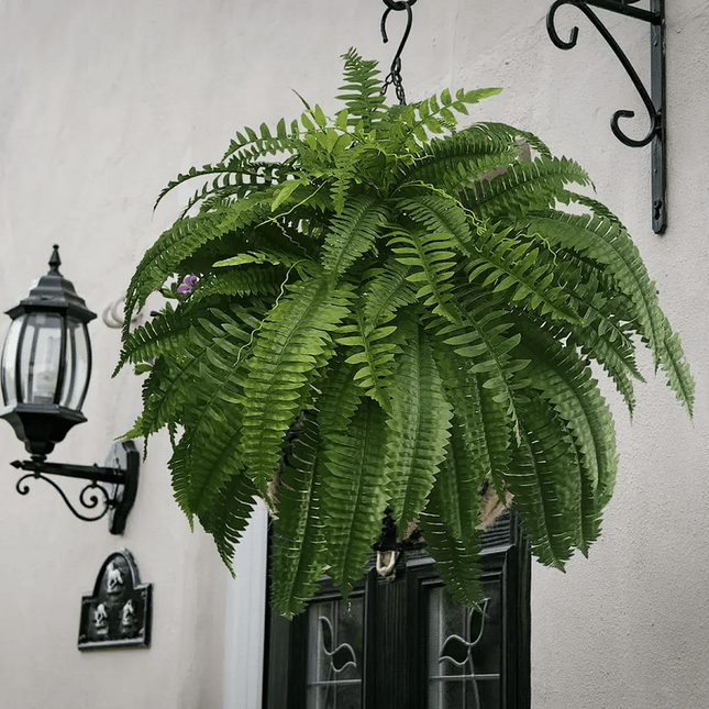 Lifelike Artificial Boston Fern | UV Resistant Faux Plants for Maintenance-Free Outdoor Décor 1