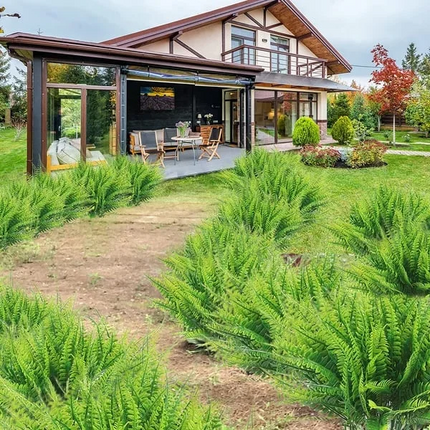 Lifelike Artificial Boston Fern | UV Resistant Faux Plants for Maintenance-Free Outdoor Décor 6