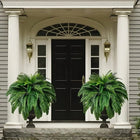 Lifelike Faux Boston Fern | UV Resistant Artificial Plant for Indoor & Outdoor Decor 0