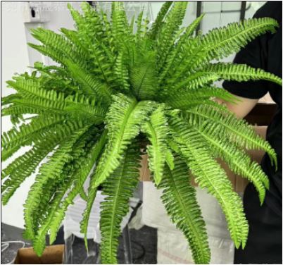 Lifelike Faux Boston Fern | UV Resistant Artificial Plant for Indoor & Outdoor Decor 3