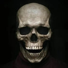 Lifelike Skull Mask | Realistic Skeleton Face Mask with Moving Jaw | Perfect for Halloween and Cosplay 0