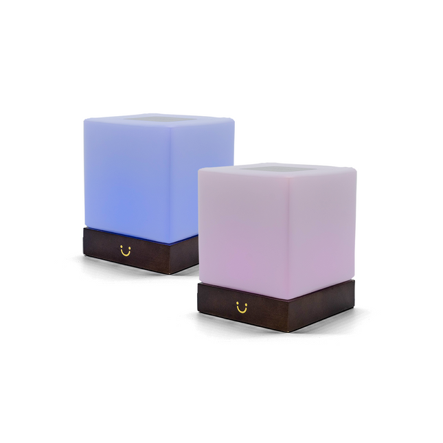 LuvLink | Friendship Lamp with Stylish Design & Instant Connection | Perfect Long Distance Gift 0