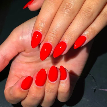 Press-On Nails Festive Designs Gel Polish & Buffing Strips_50