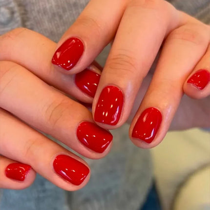 Press-On Nails Festive Designs Gel Polish & Buffing Strips_55