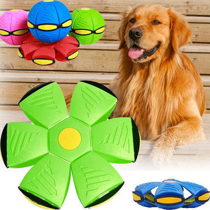 Magic Ball Toy for Dogs with Durable Soft Plastic Design | Interactive Flying Saucer for Engaging Play and Bonding