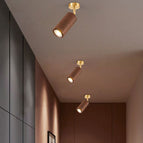 1 / White Light (6000K) / Walnut – 110 V–120 V for US/CA
