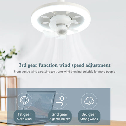Modern Ceiling Fan Light with Remote Control & Dimmable Features | Stylish Design for Comfortable Indoor Atmosphere 3