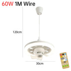 60W 1M Wire