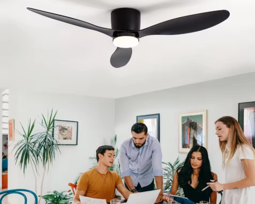 Modern Ceiling Fans with Lights | Flush Mount Design & Remote Control for Stylish Comfort 1