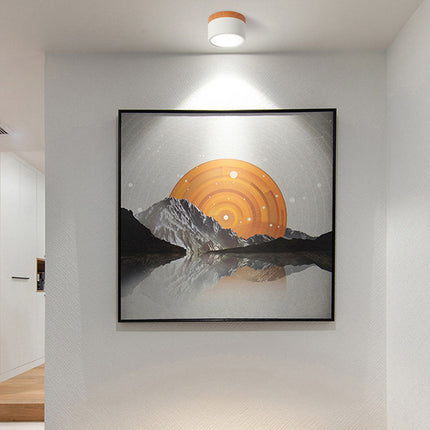 Modern Ceiling Light | Minimalist Aluminum Fixture with Wood Accent | Focused Lighting for Stylish Interiors 0