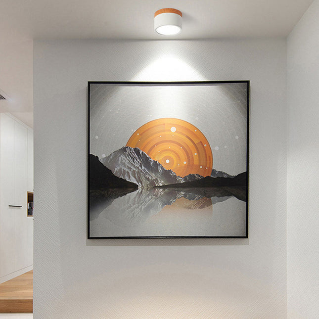 Modern Ceiling Light | Minimalist Aluminum Fixture with Wood Accent | Focused Lighting for Stylish Interiors 0