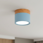 Blue / D7cm x H6cm / White Light