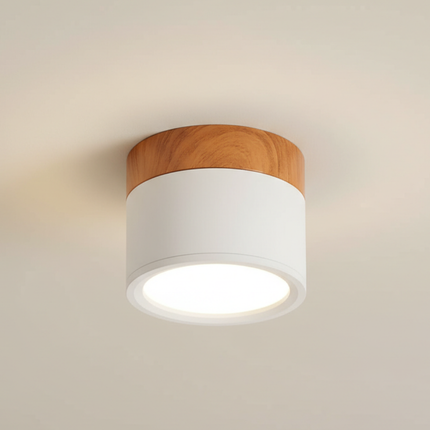 Modern Flush Mount Ceiling Light | Energy-Efficient LED Fixture with Sleek Design | Ideal for Contemporary Spaces 9