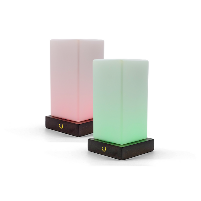 Modern Friendship Lamp with Stylish Timber & Frosted Glass Design | Instant Connection for Meaningful Relationships 0