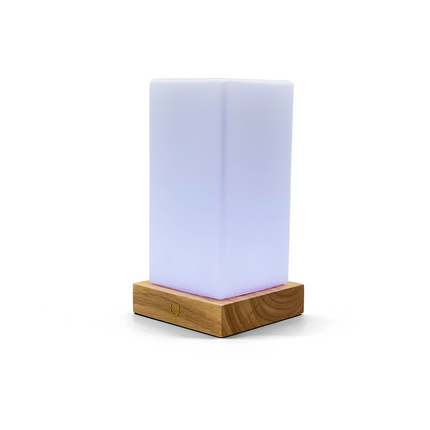 Modern Friendship Lamp with Stylish Timber & Frosted Glass Design | Instant Connection for Meaningful Relationships 10