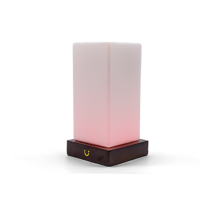 Modern Friendship Lamp with Stylish Timber & Frosted Glass Design | Instant Connection for Meaningful Relationships 12
