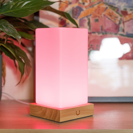 Modern Friendship Lamp with Stylish Timber & Frosted Glass Design | Instant Connection for Meaningful Relationships 7